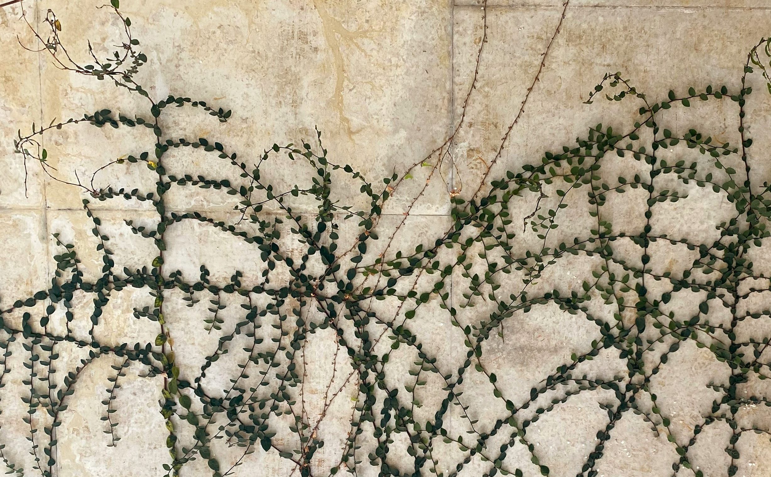 Teil 2: Meine sanfte Rebellion – Erfahrungen und Erkenntnisse