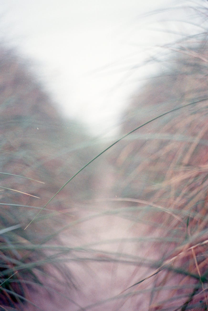 Wenn das Leben die Richtung ändert